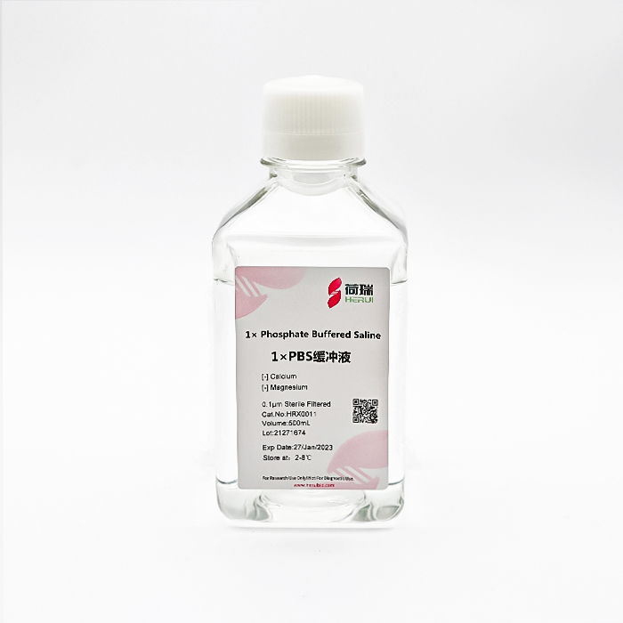 1×PBS 缓冲液（细胞培养级） 1× Phosphate Buffered Solution
