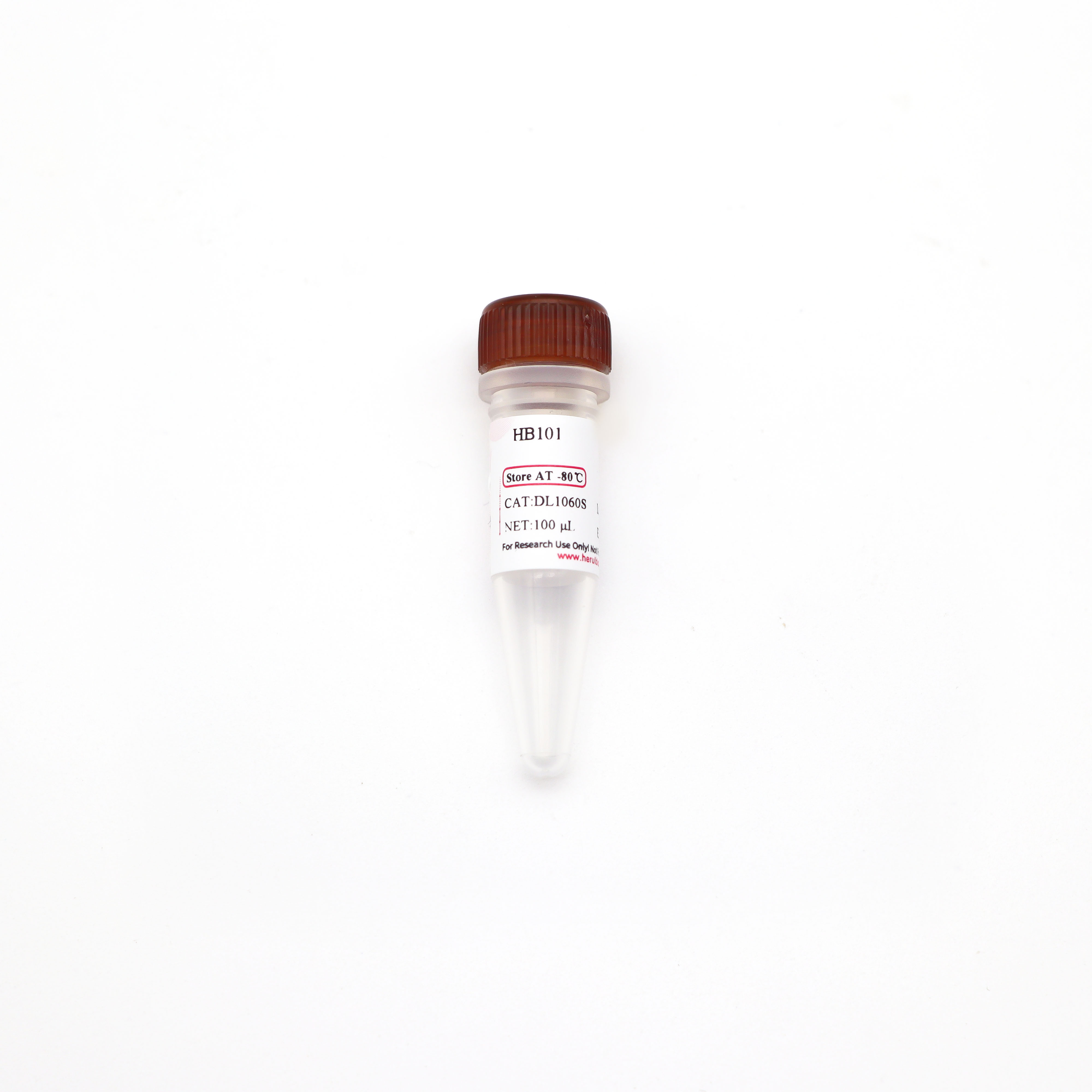 HB101 化学感受态细胞
