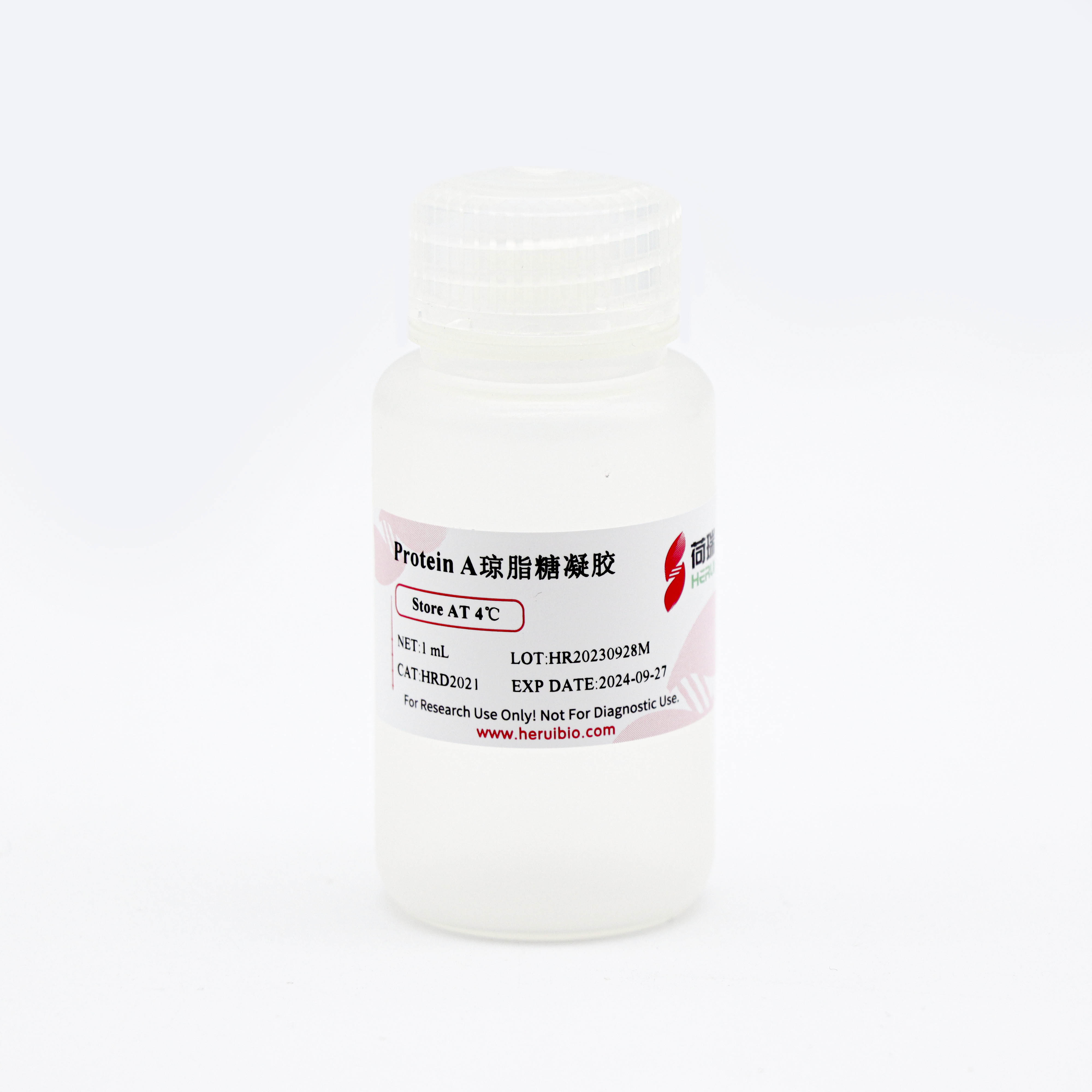 Protein A琼脂糖凝胶