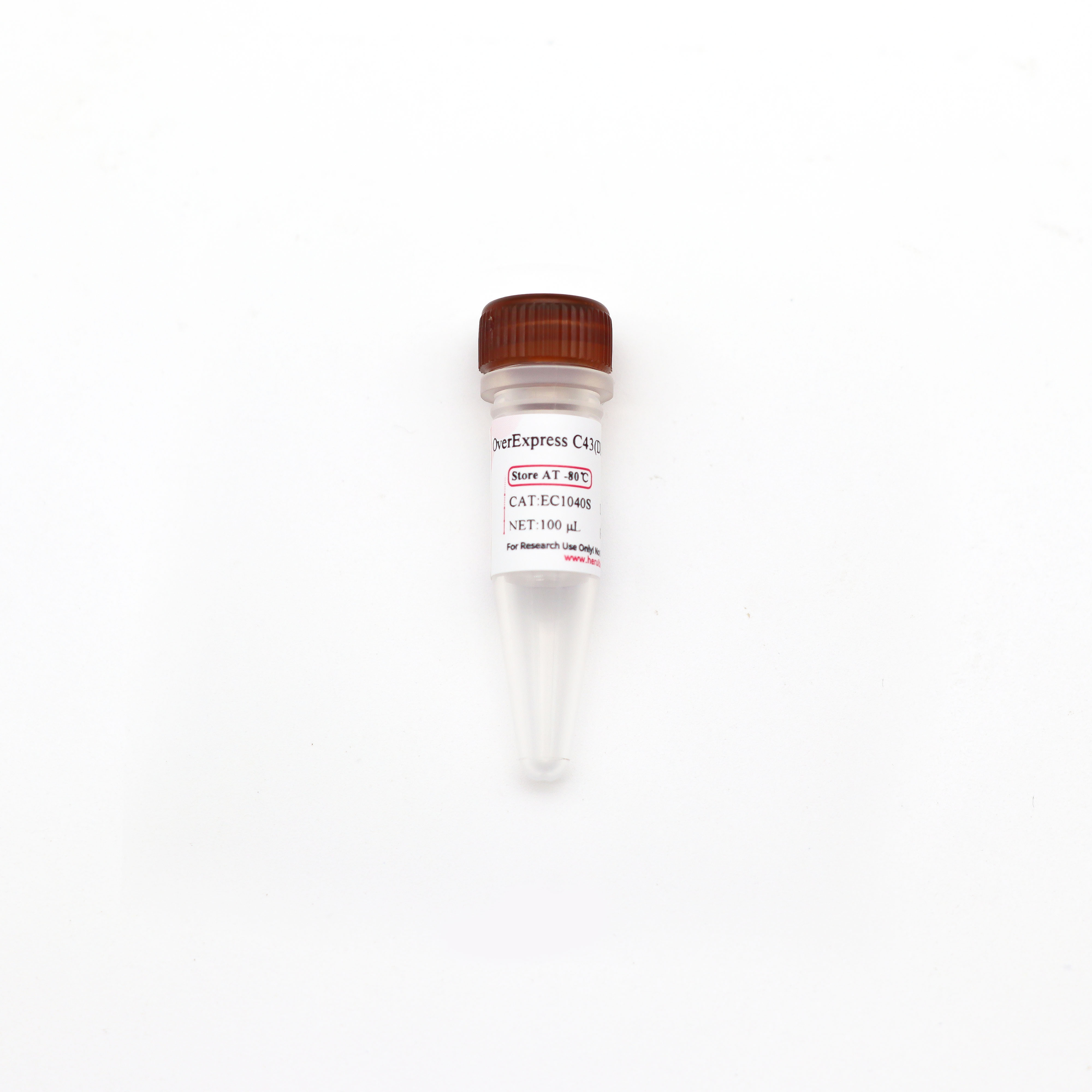 OverExpress C43(DE3) 化学感受态细胞