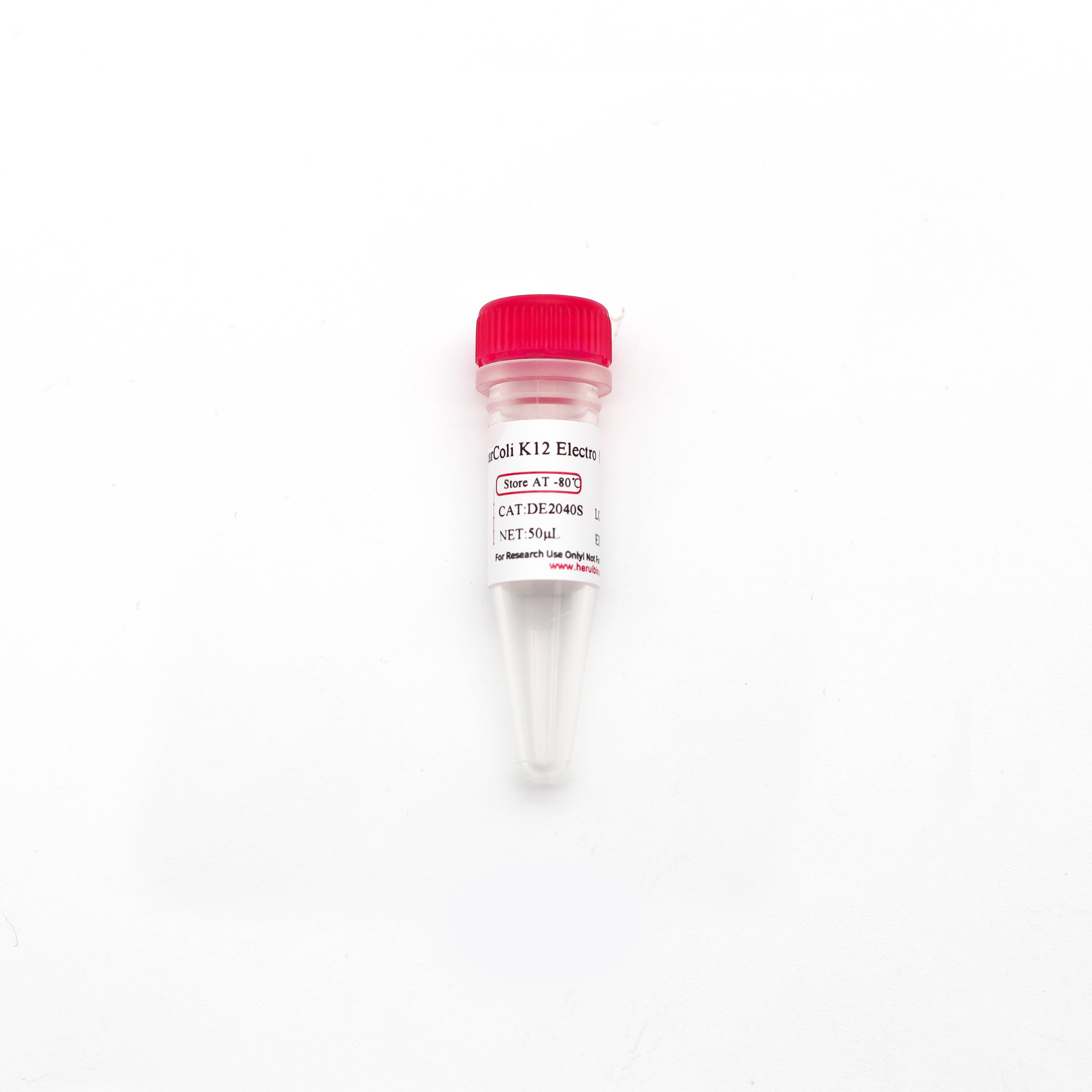 ClearColi K12 电激感受态细胞