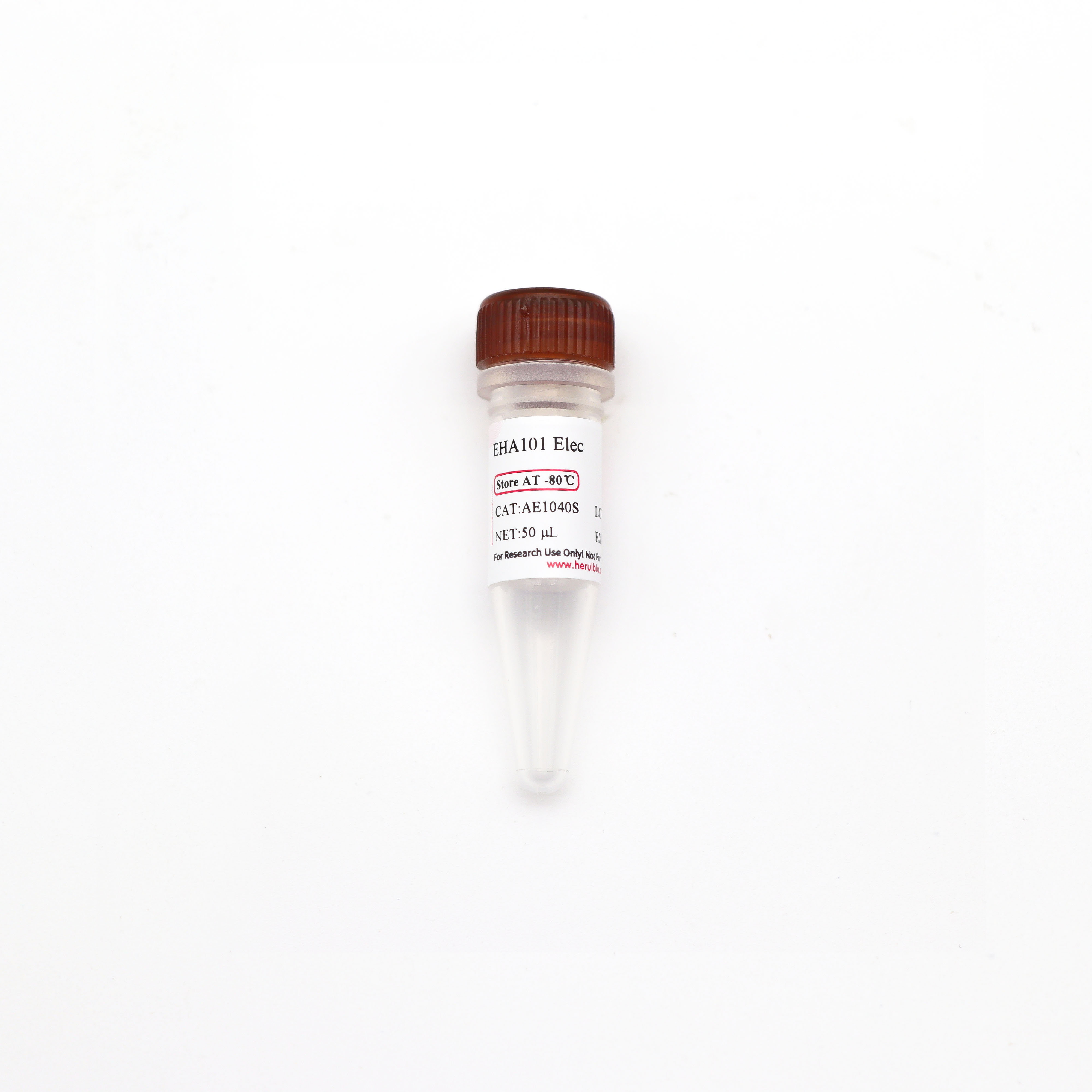 EHA101 电激感受态细胞