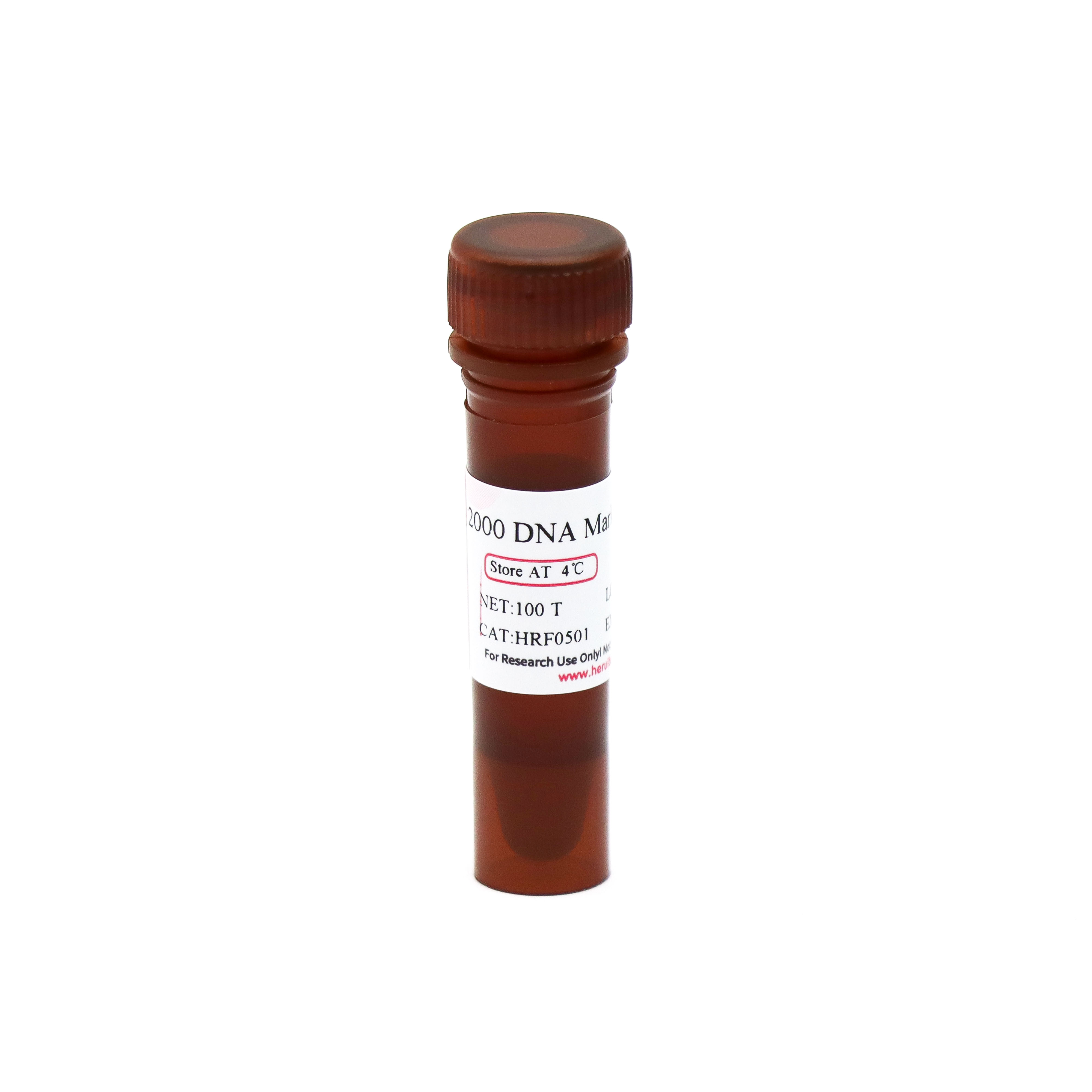 2000 DNA Marker