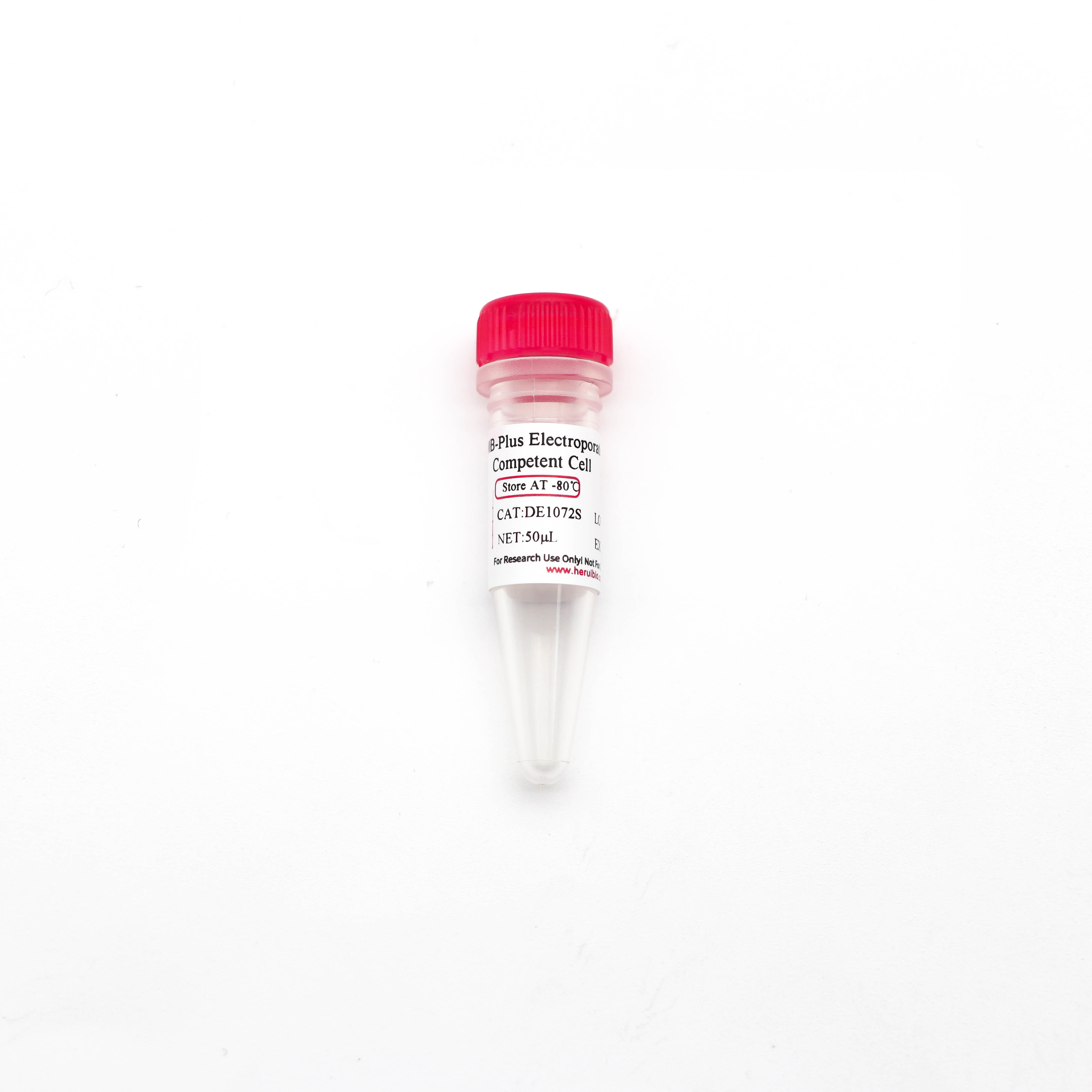 DH10B-Plus 电激感受态细胞
