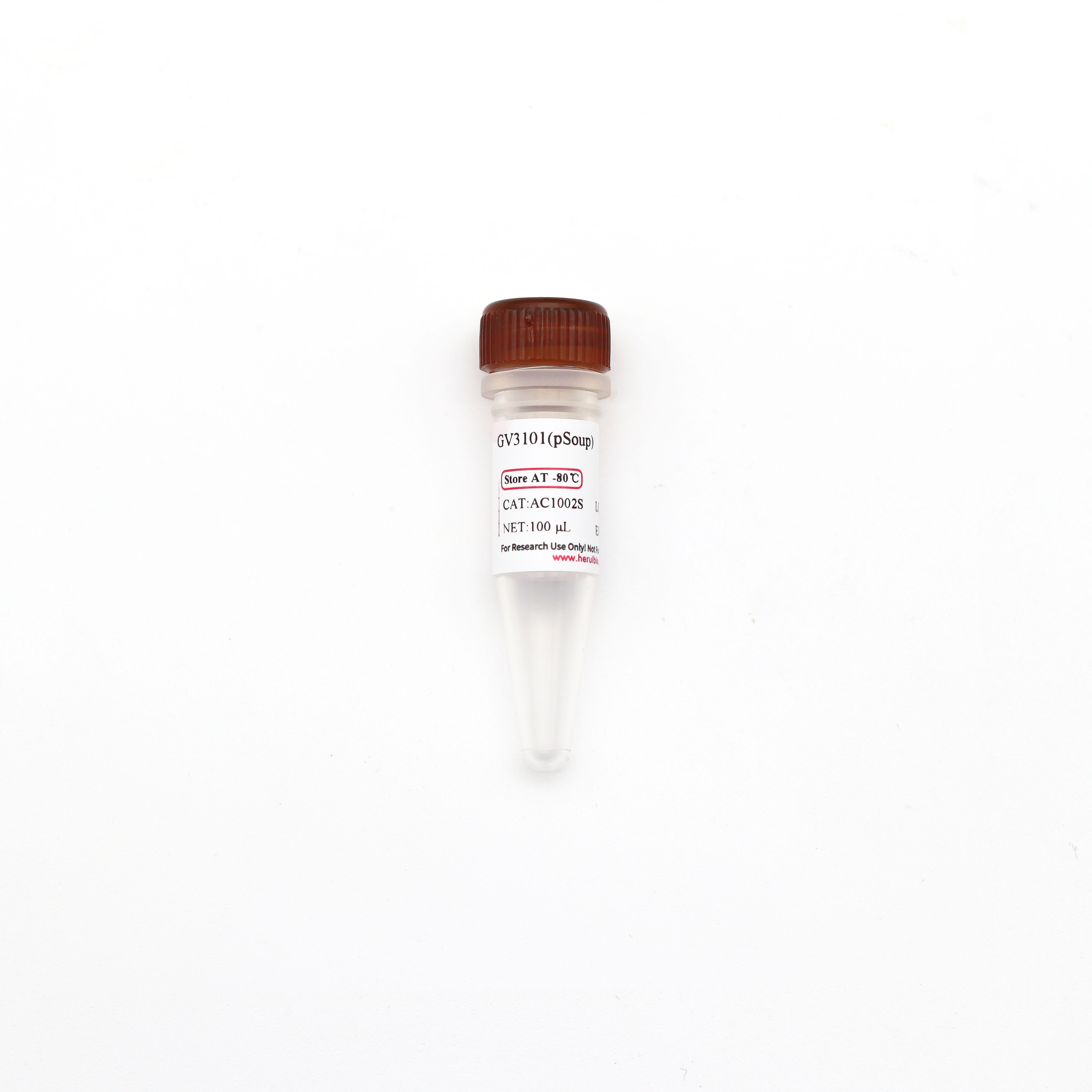 GV3101(pSoup) 化学感受态细胞
