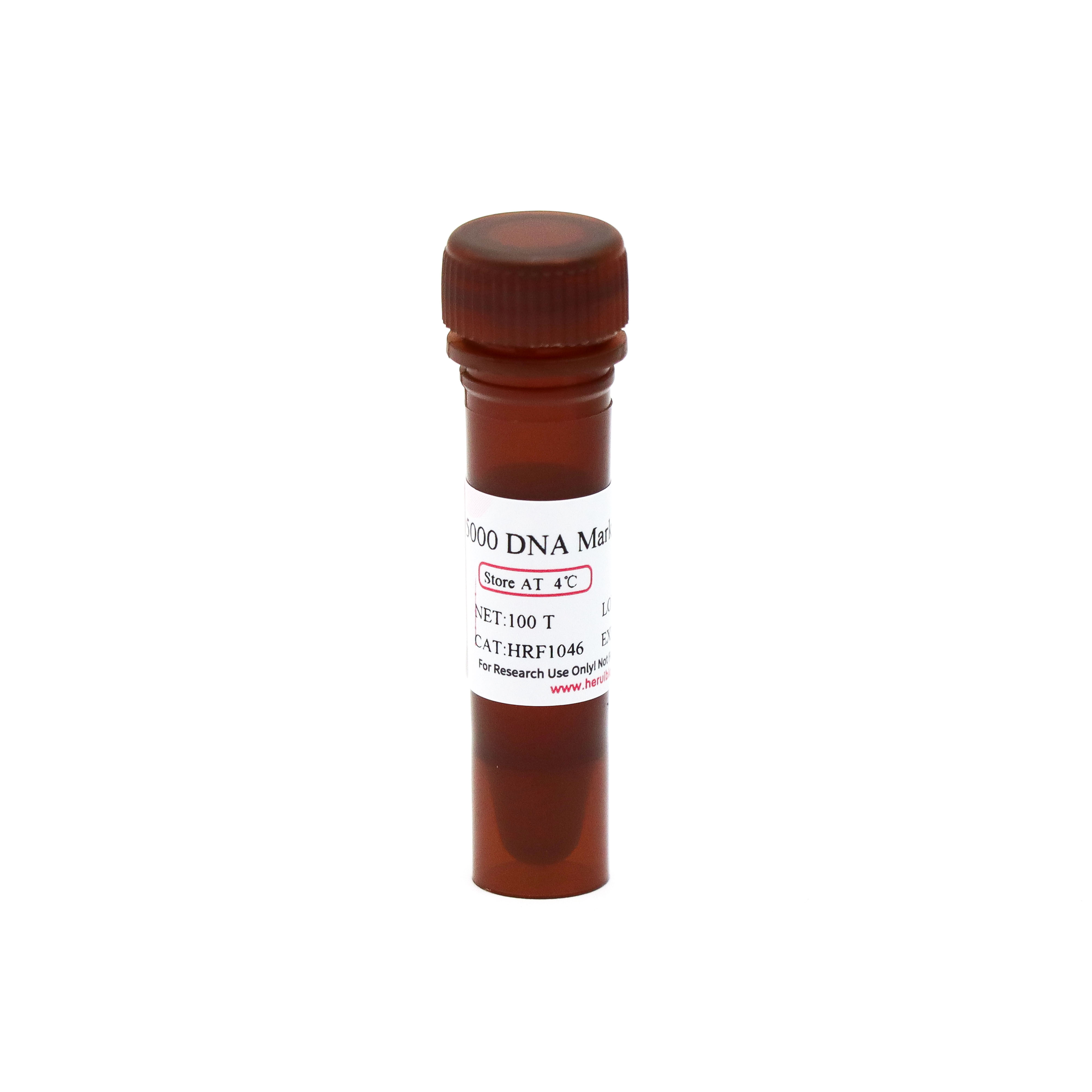 5000 DNA Marker