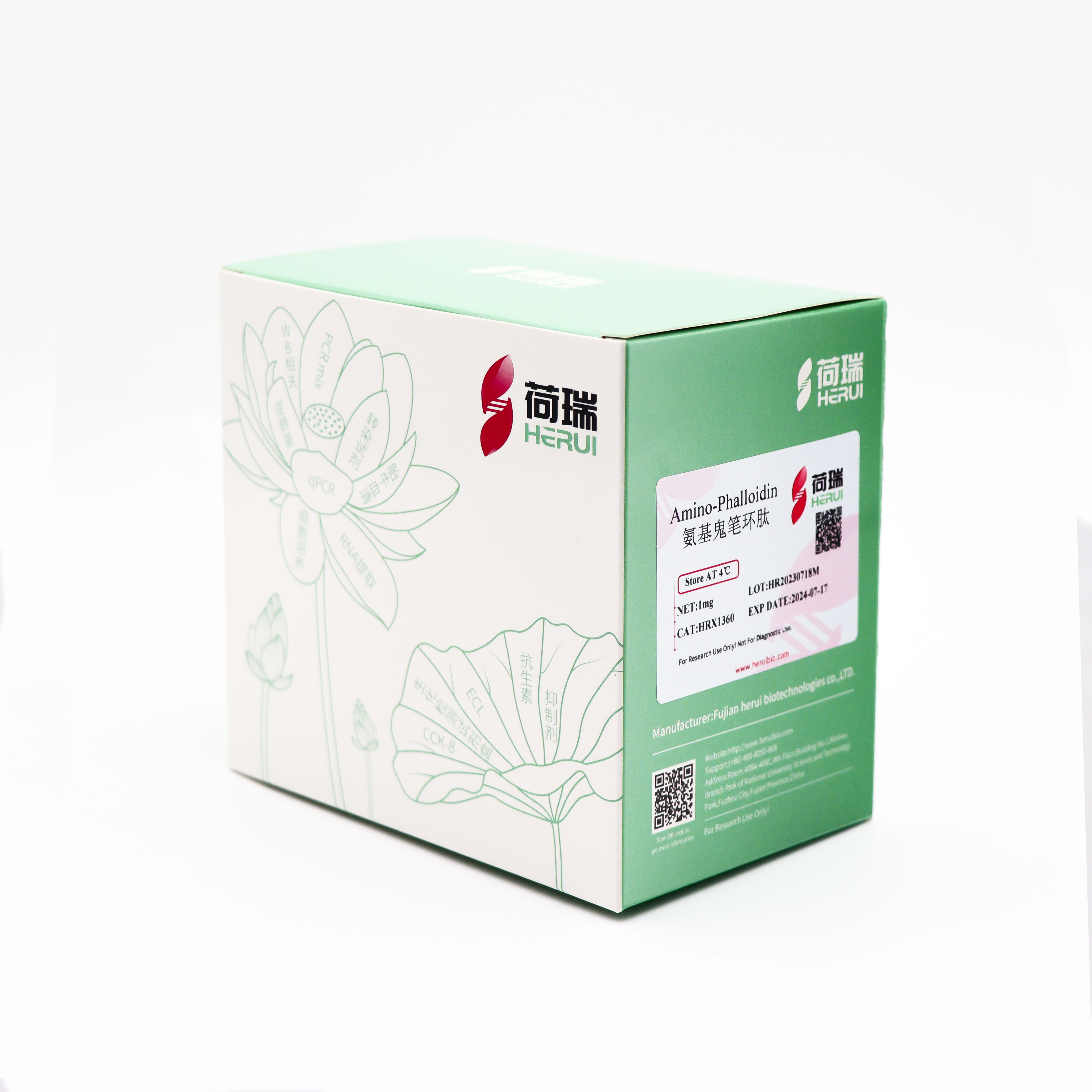 Amino-Phalloidin 氨基鬼笔环肽
