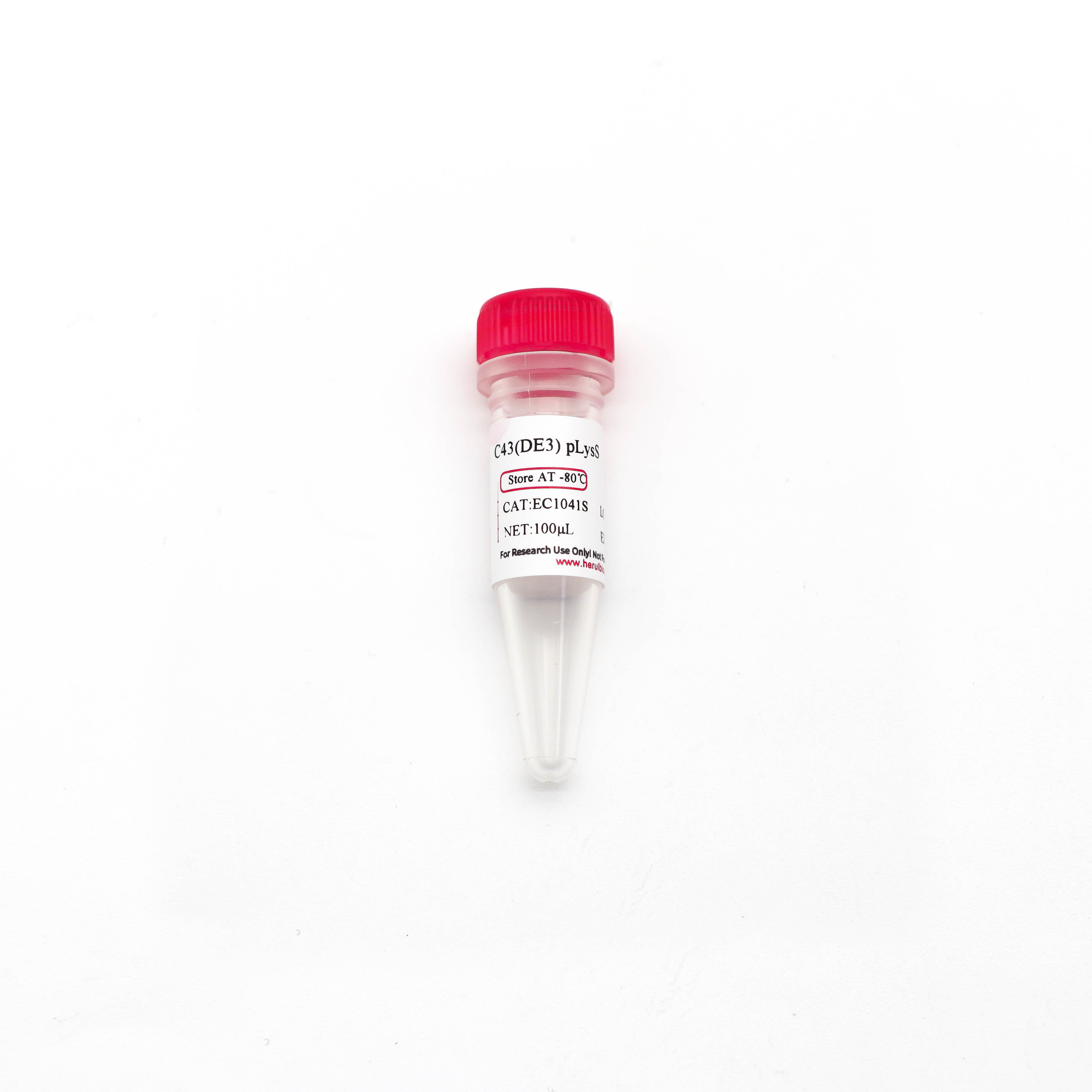C43(DE3) pLysS化学感受态细胞