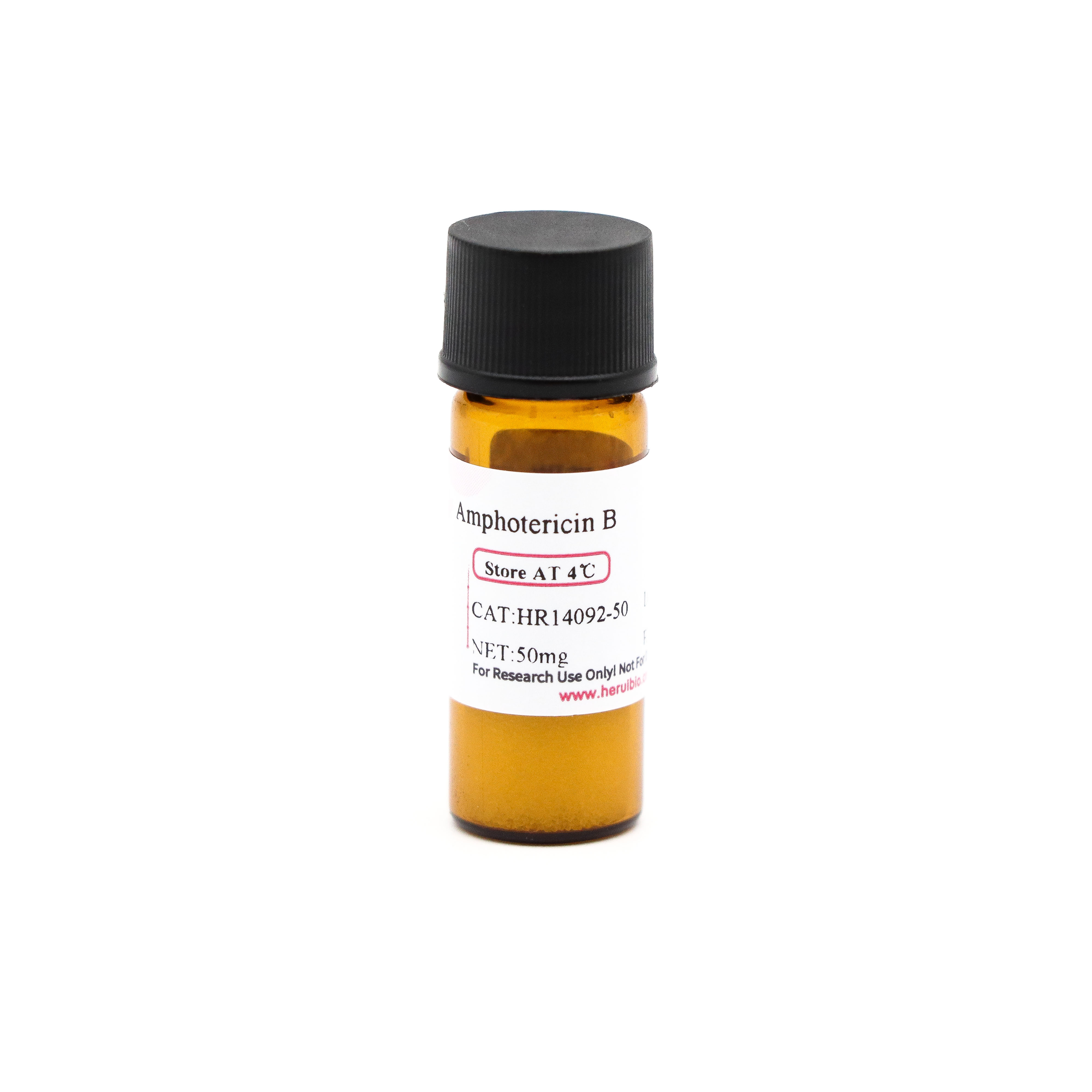 Amphotericin B
