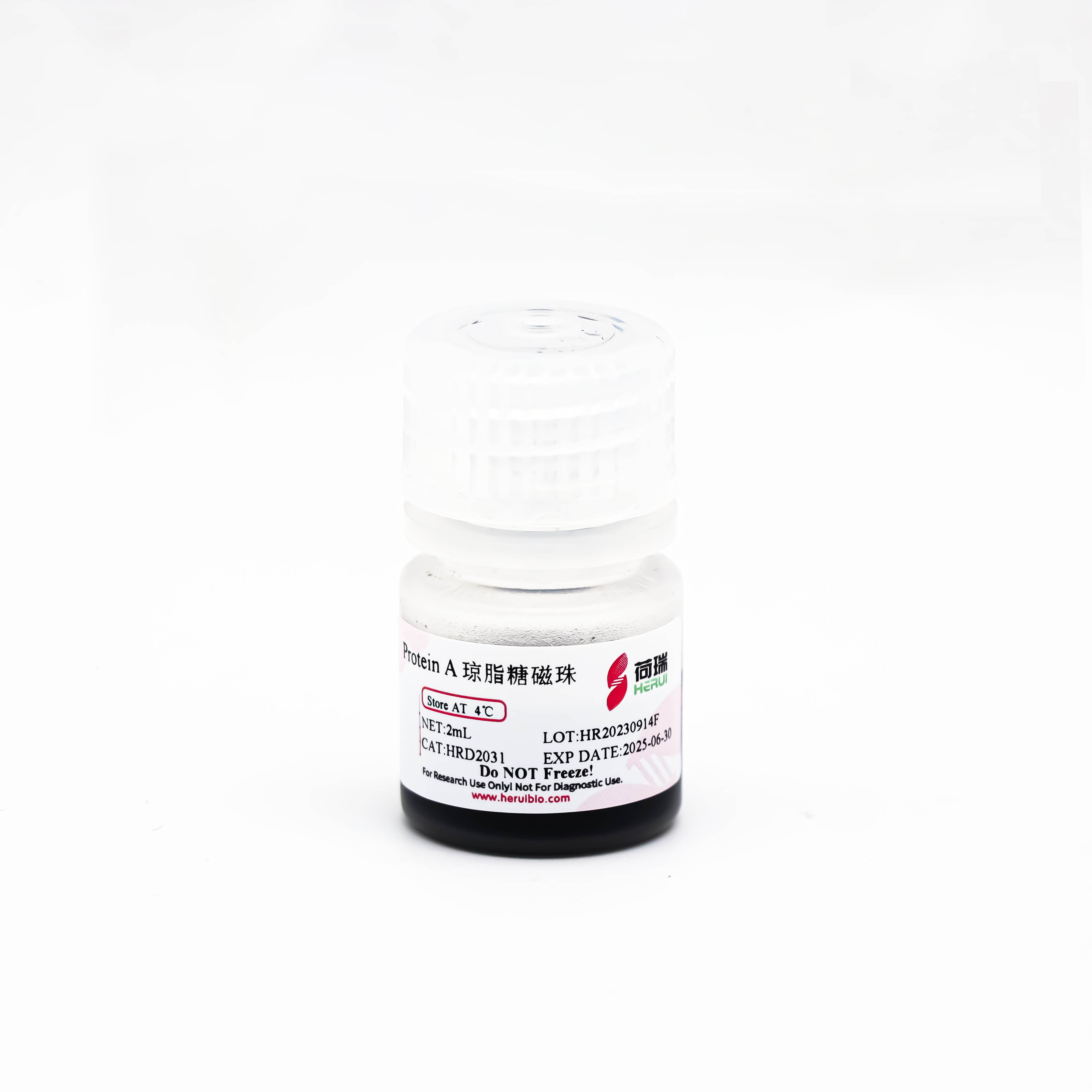 Protein A 琼脂糖磁珠