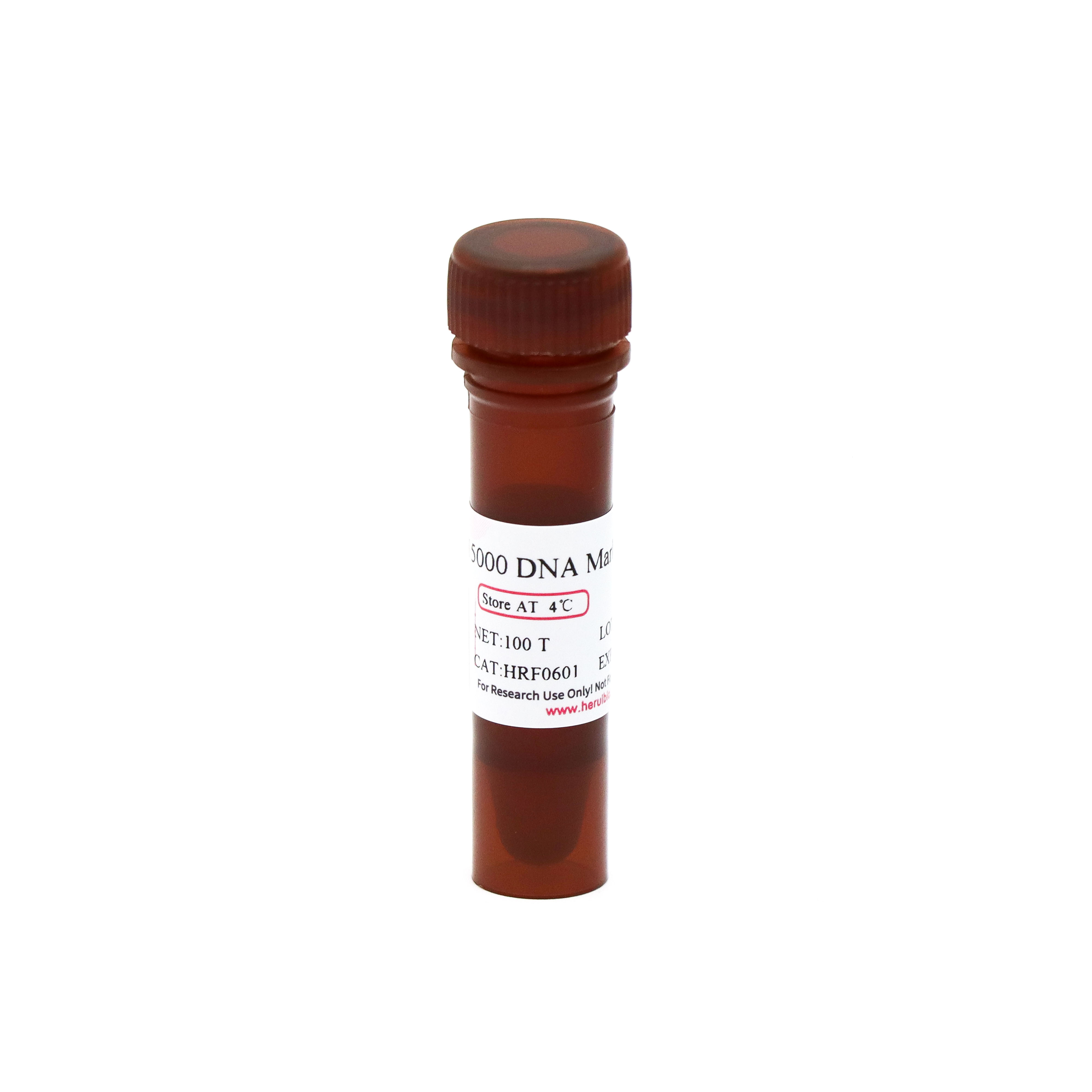 15000 DNA Marker
