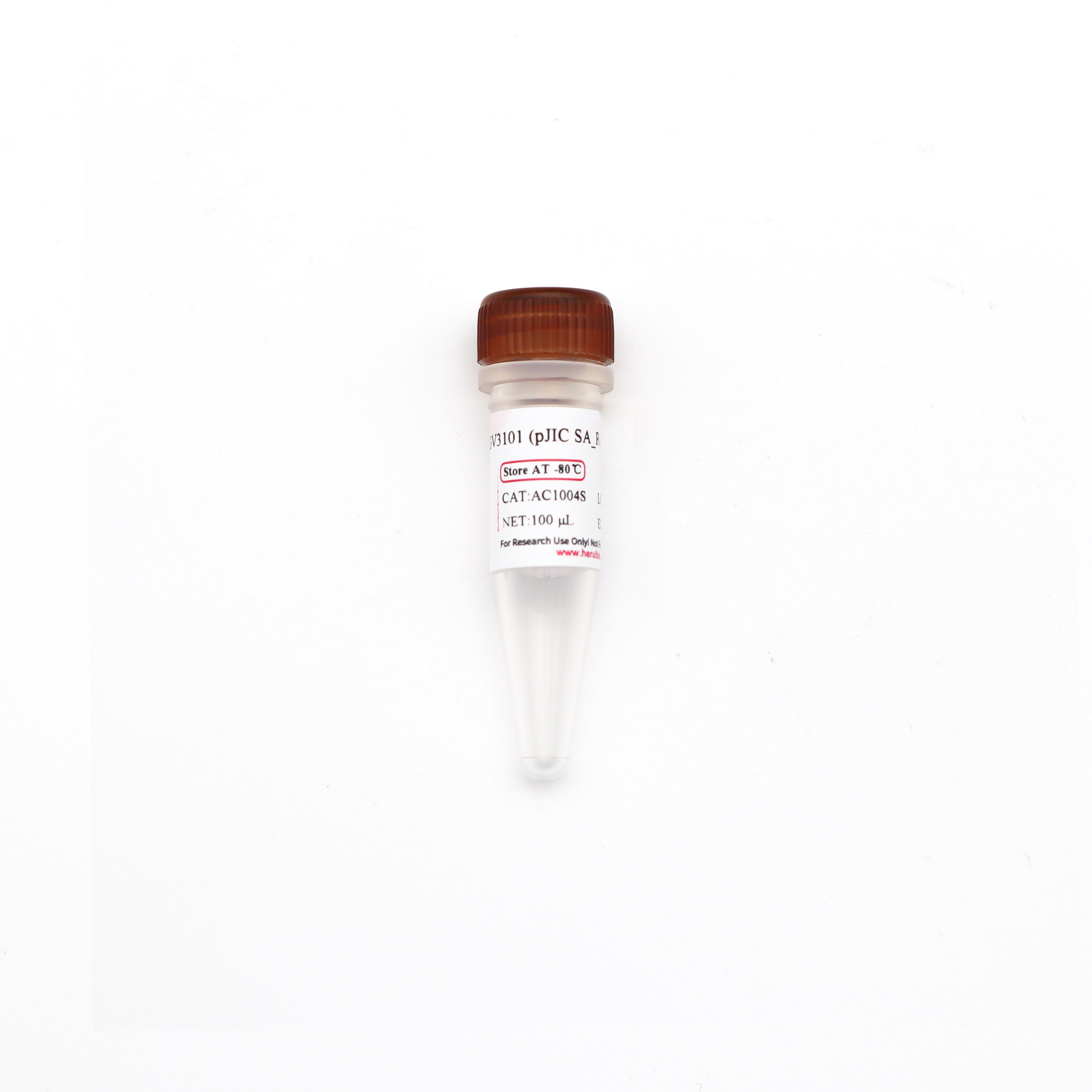 GV3101 (pJIC SA_Rep) 化学感受态细胞