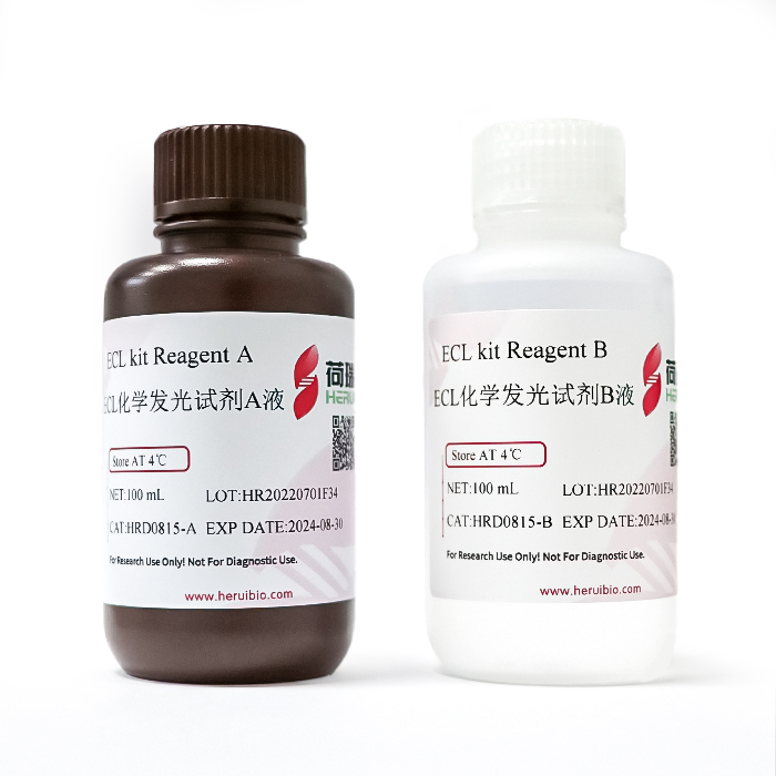 Super ECL Detection Kit ECL化学发光超敏显色试剂盒