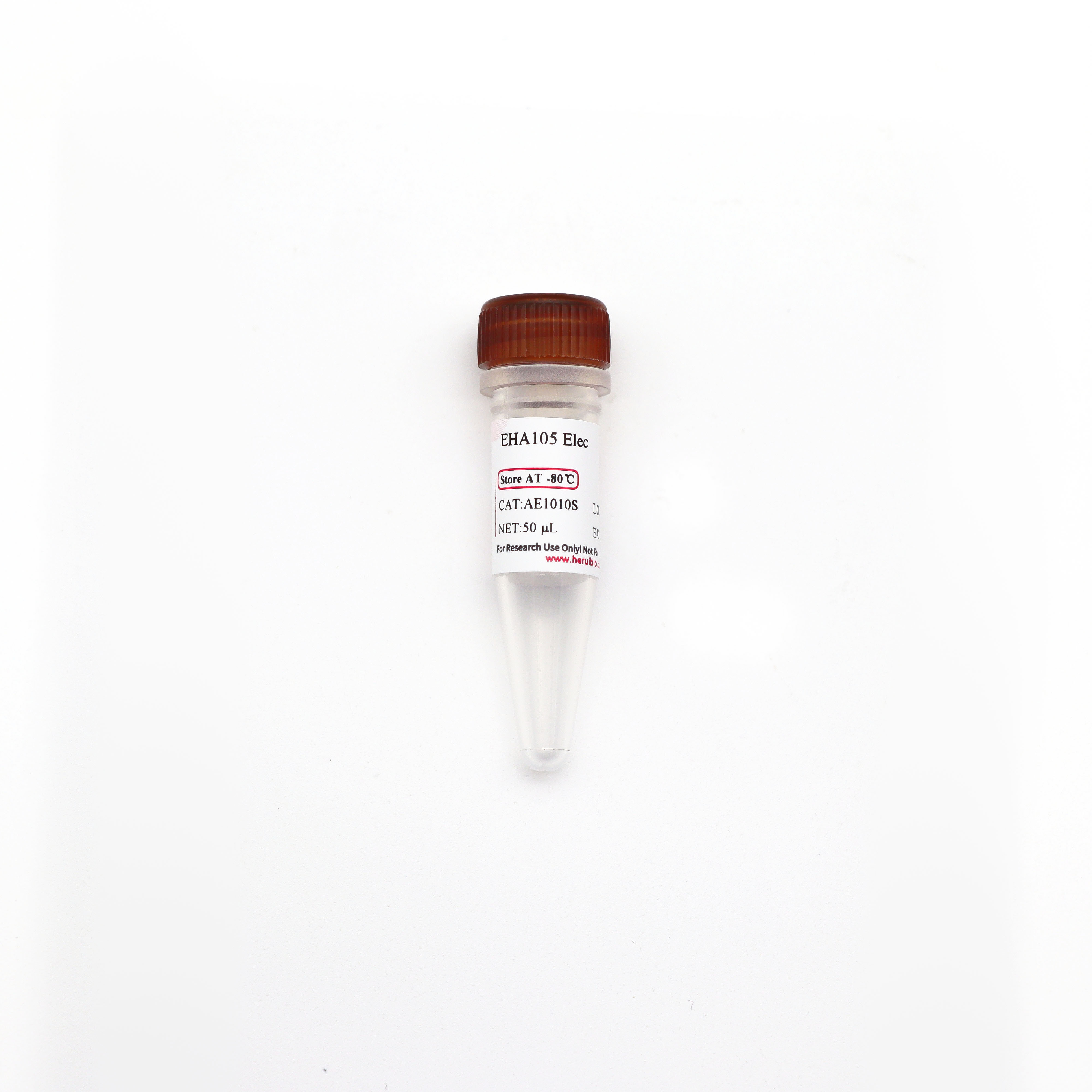 EHA105 电激感受态细胞