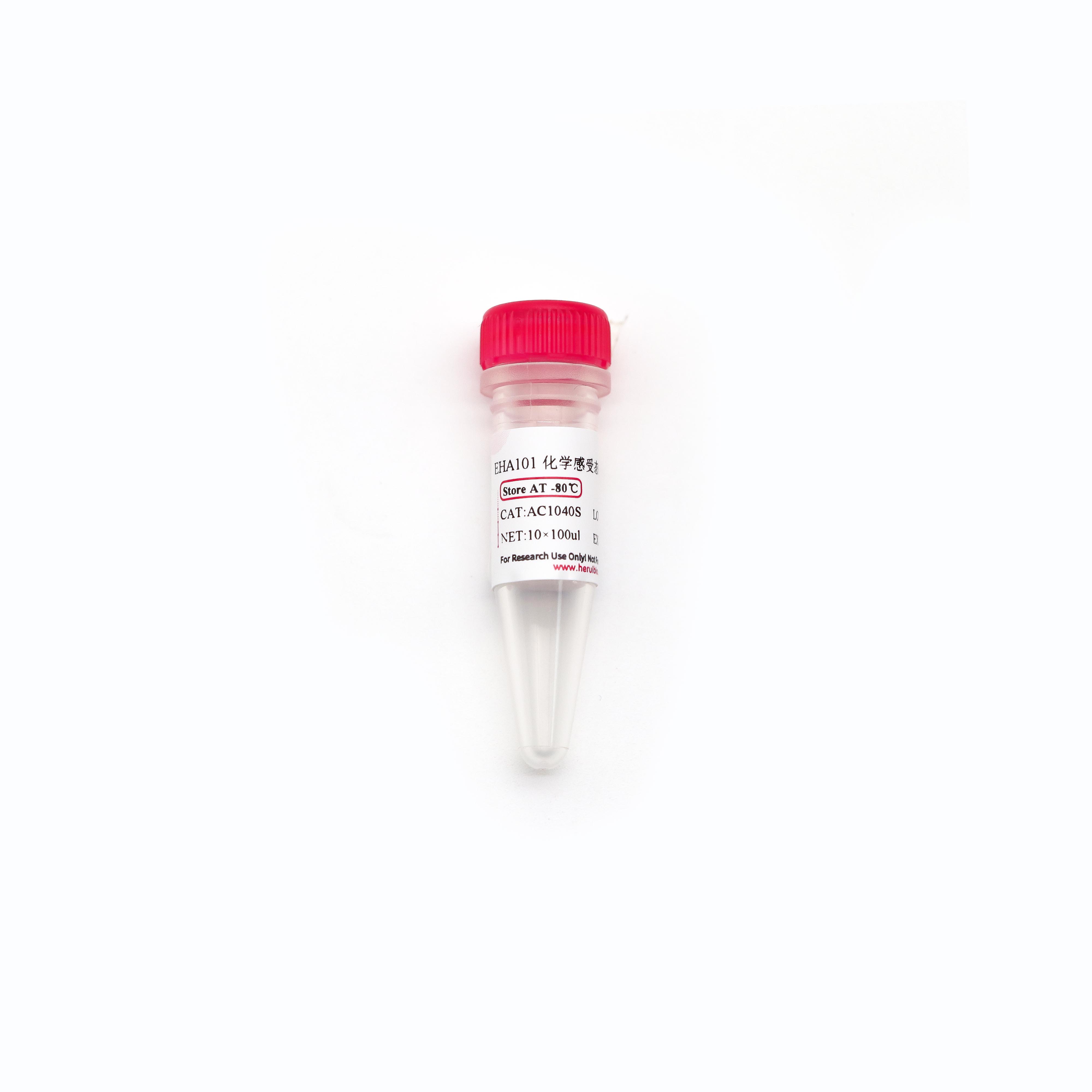 EHA101 化学感受态细胞