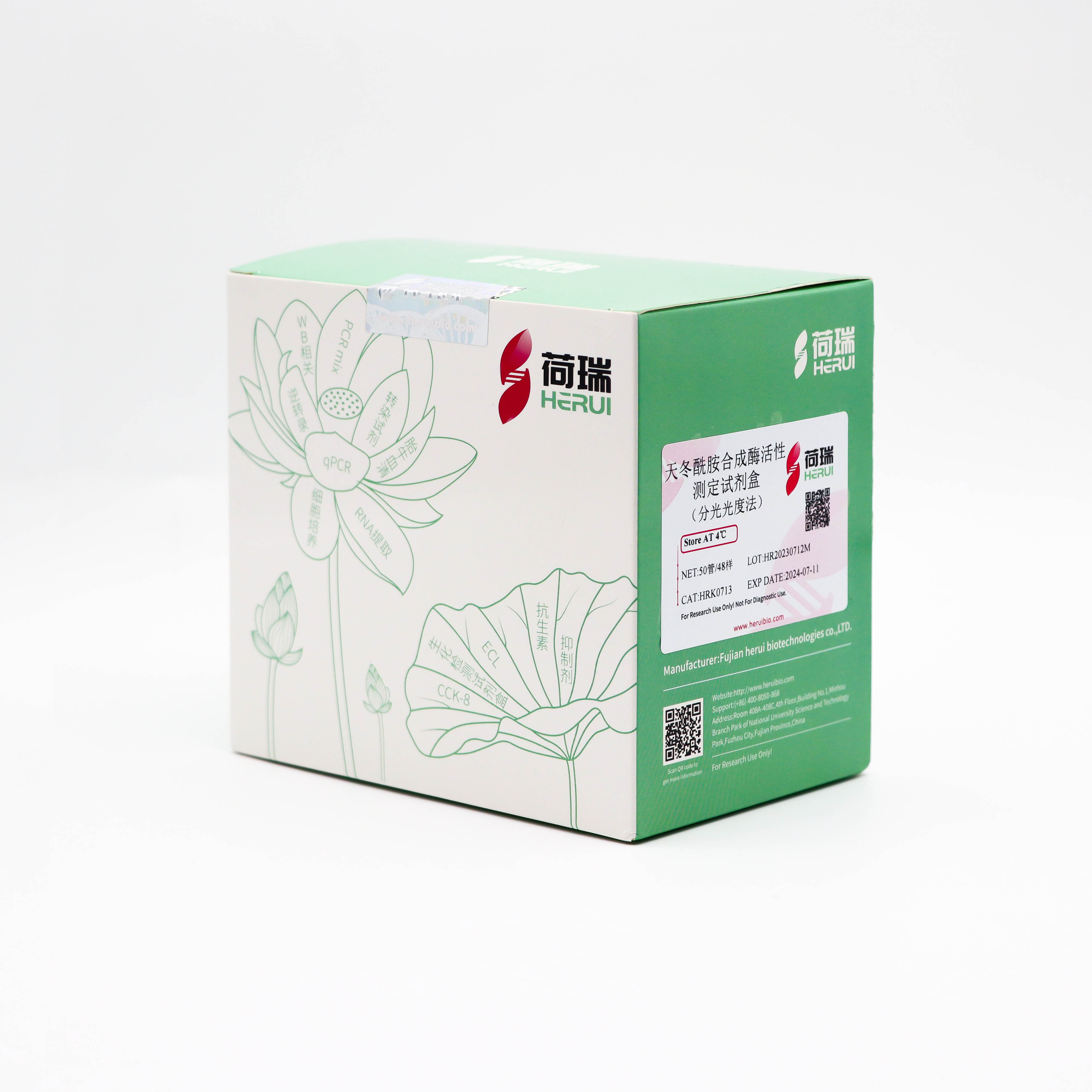 天冬酰胺合成酶(asparagine synthetase，AS)活性测定试剂盒