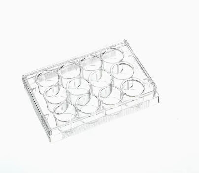 Corning 3513 12孔细胞培养板