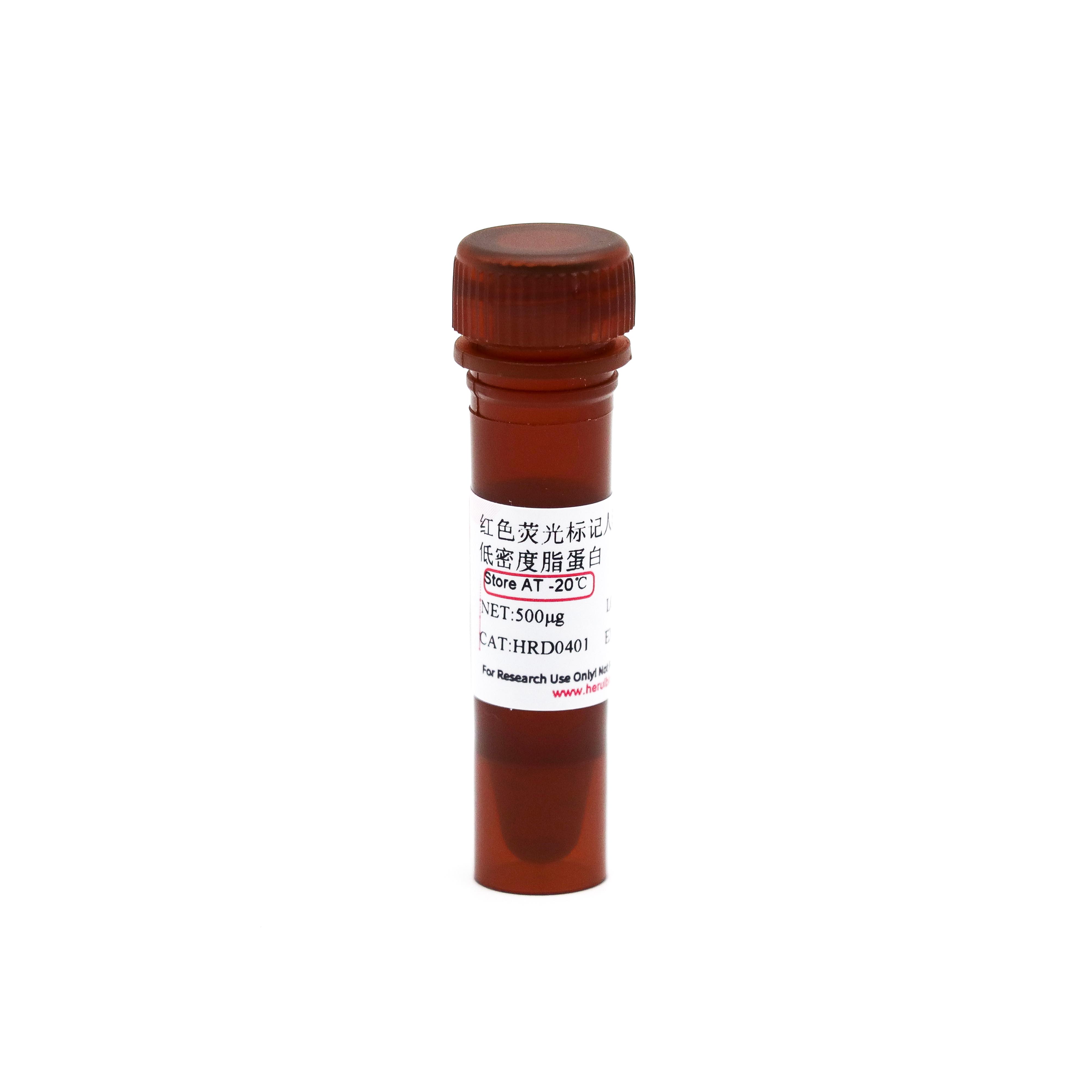 Human DiI-Low Density Lipoprotein （Human DiI-LDL） 红色荧光标记人源低密度脂蛋白