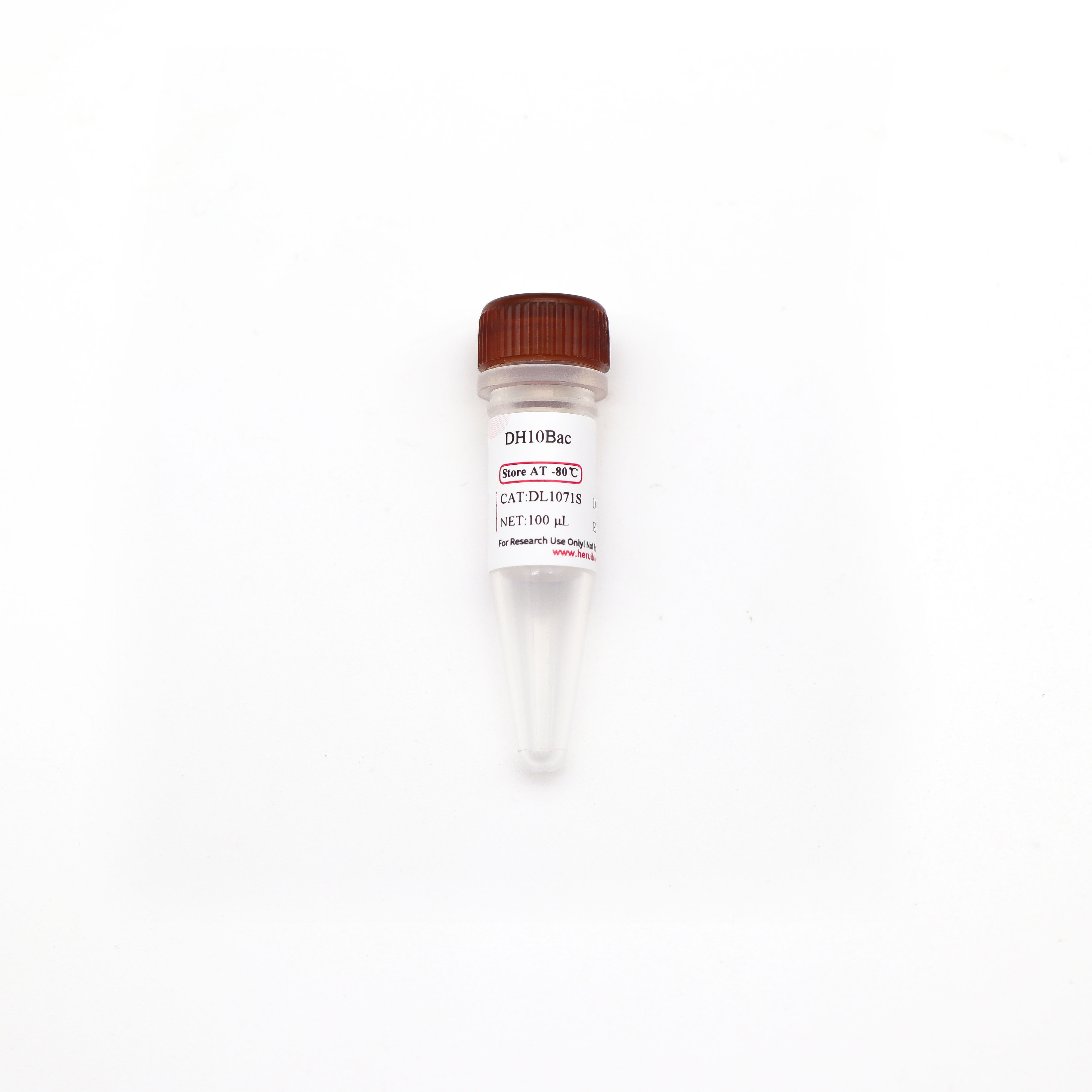 DH10Bac 化学感受态细胞