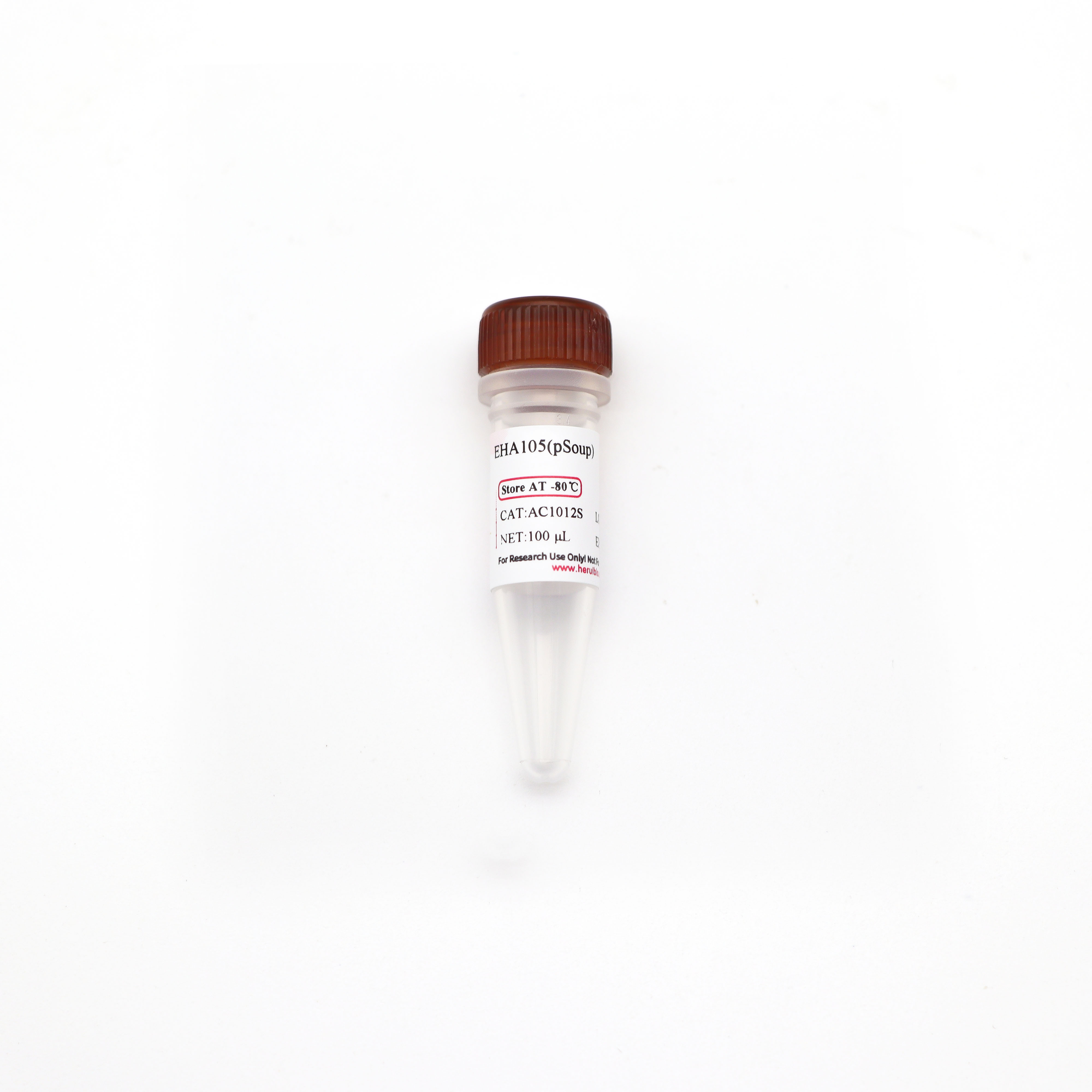 EHA105(pSoup) 化学感受态细胞