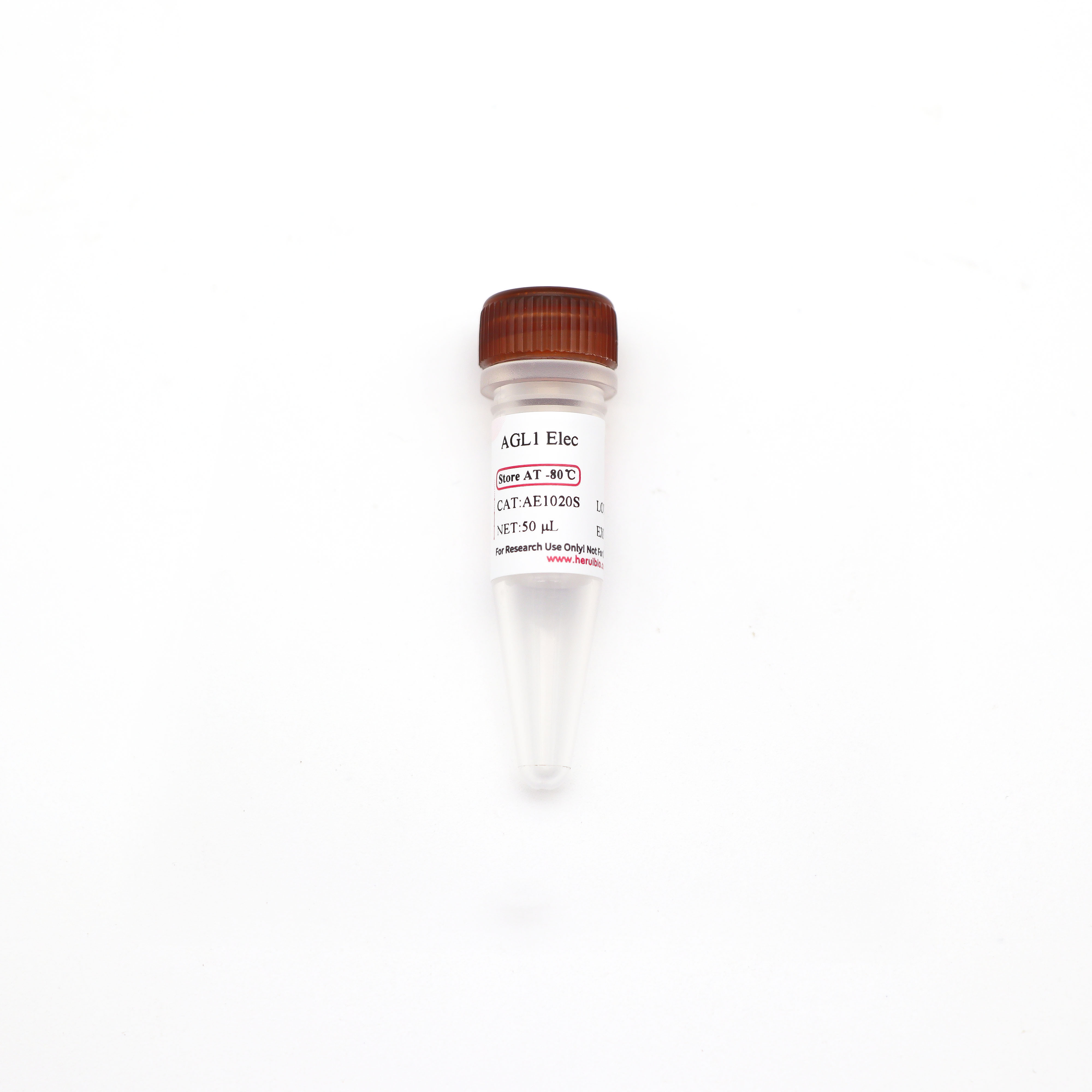 AGL1 电激感受态细胞