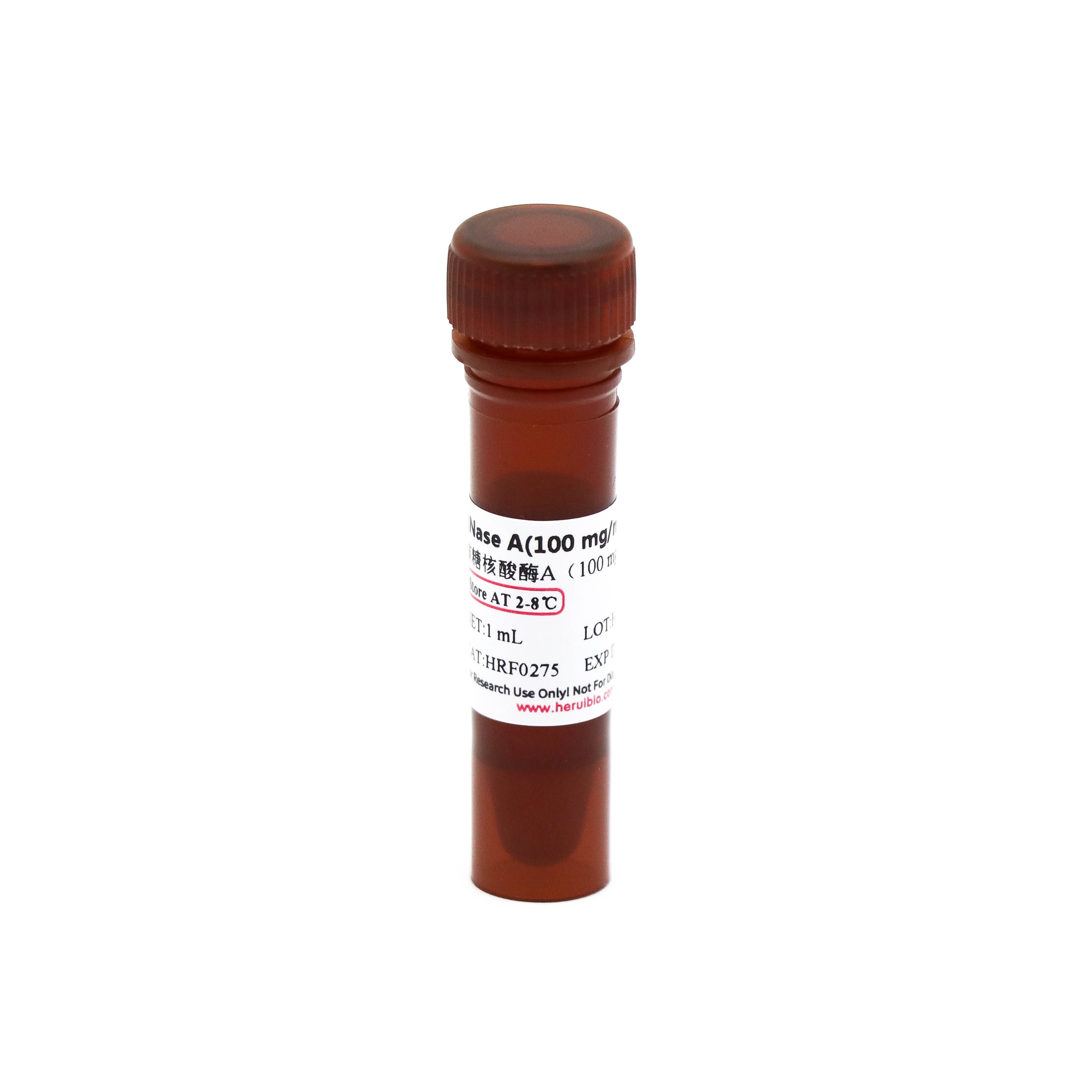 RNase A (100 mg/mL) 核糖核酸酶A（100 mg/mL）