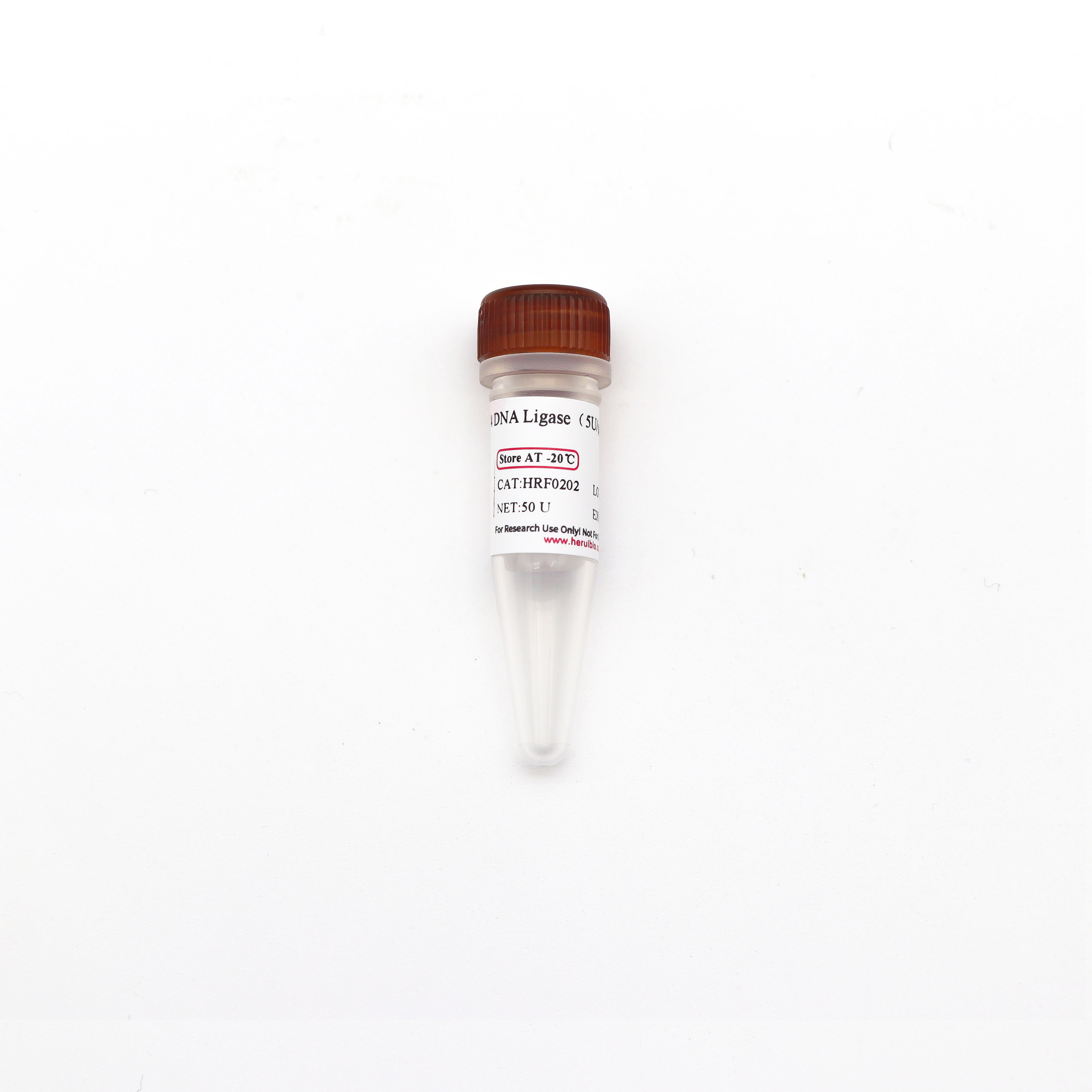 T4 DNA Ligase（5U/μL）